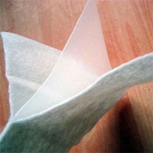 兩布一膜 兩布一膜