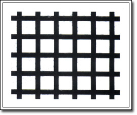 復(fù)合土工格柵 復(fù)合土工格柵